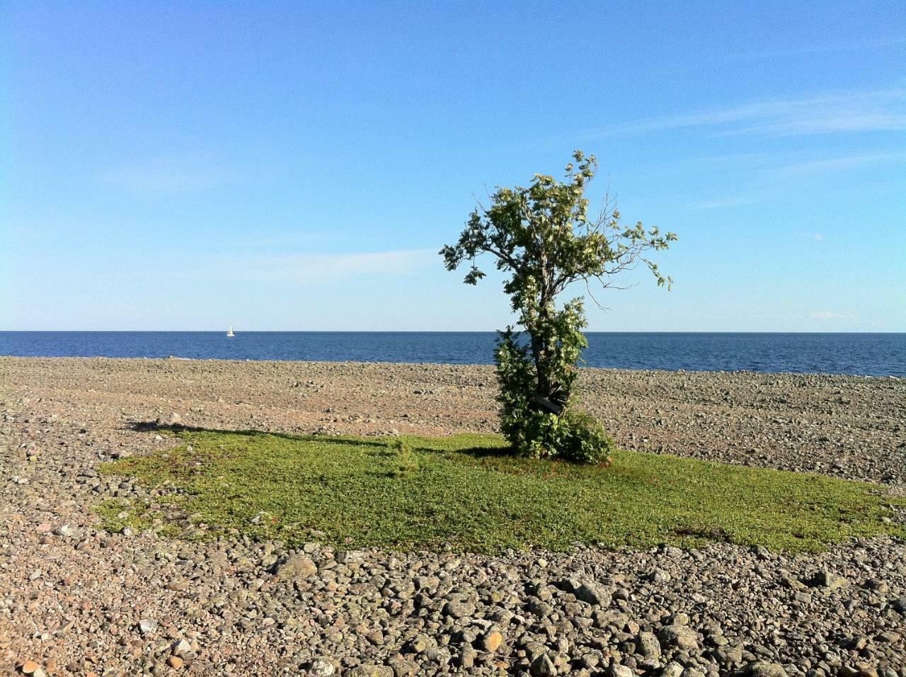 Hoelick Havsresort & Spa Hudiksvall Bagian luar foto